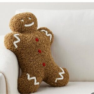 COPY - Pottery Barn Mr. Spice Gingerbread Pillow